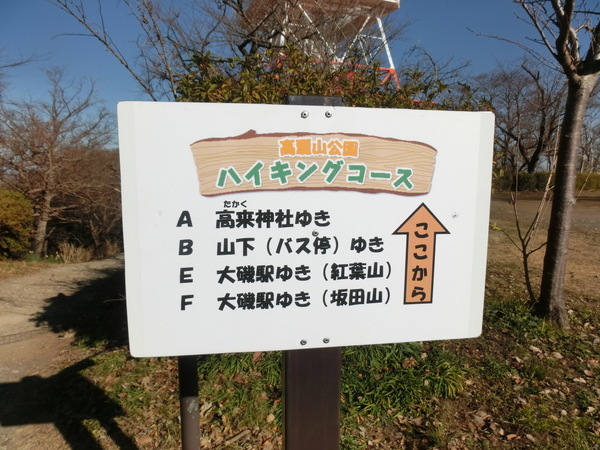 d0098295_16055817.jpg