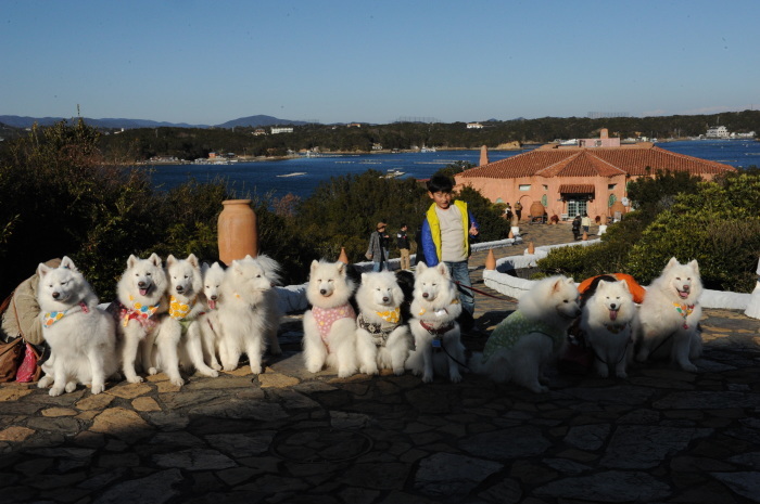 三重グルメツア~♪ 2_a0049296_20110389.jpg