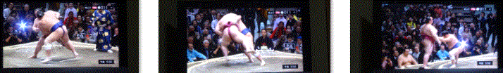 f0231709_13544807.gif