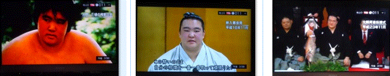 f0231709_16585389.gif