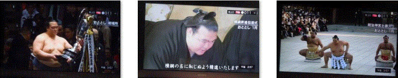 f0231709_16591181.gif