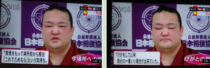 f0231709_17010143.gif
