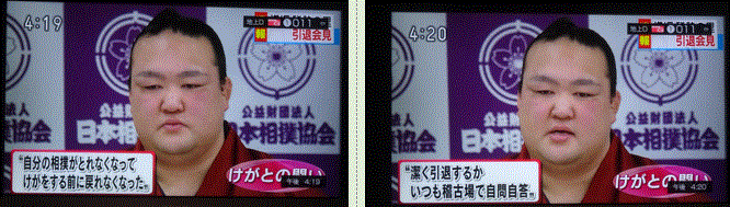 f0231709_17013846.gif