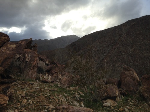 a0331910_12053031.jpeg