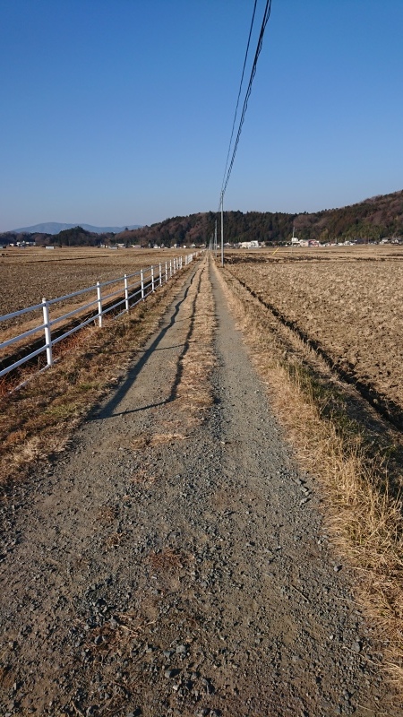 a0361310_10264349.jpg