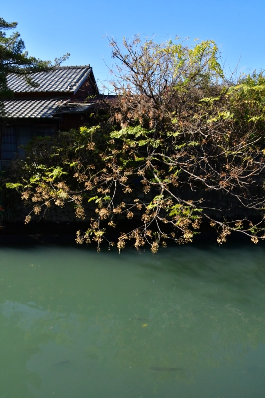 b0223512_23214551.jpeg