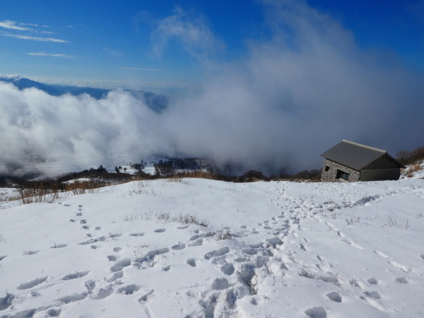 日本百名山　　雪の伊吹山 (1,377.3M)    登頂 編_d0170615_21385334.jpg