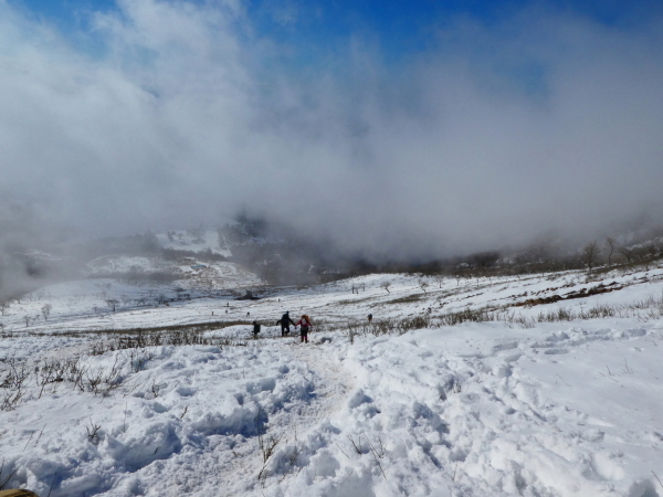 日本百名山　　雪の伊吹山 (1,377.3M)    登頂 編_d0170615_21391646.jpg