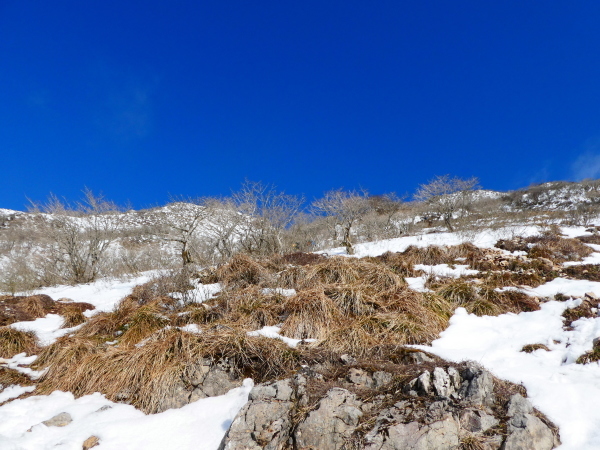 日本百名山　　雪の伊吹山 (1,377.3M)    登頂 編_d0170615_21393856.jpg