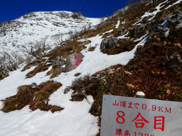 日本百名山　　雪の伊吹山 (1,377.3M)    登頂 編_d0170615_21400125.jpg