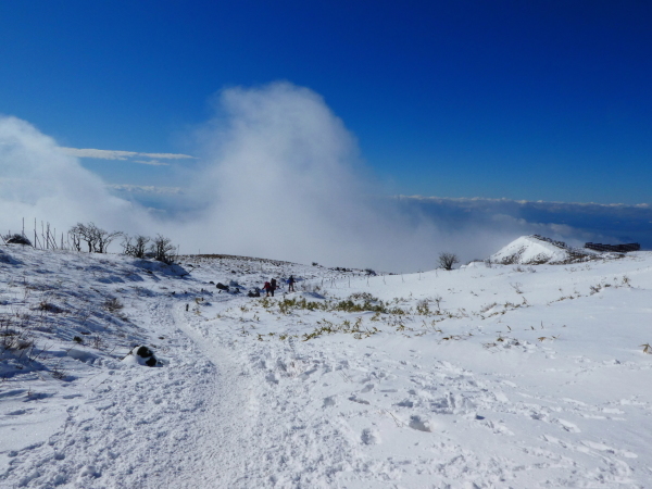 日本百名山　　雪の伊吹山 (1,377.3M)    登頂 編_d0170615_21403326.jpg