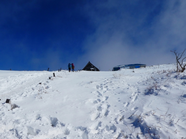 日本百名山　　雪の伊吹山 (1,377.3M)    登頂 編_d0170615_21404042.jpg