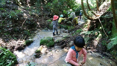 広島市街中心部から車で30分！まめとっこのフィールド紹介_b0211925_12370923.jpg