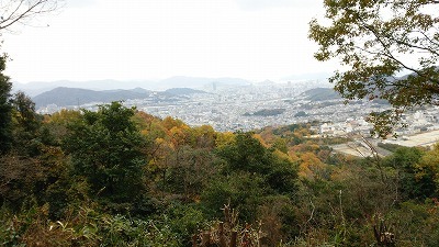 広島市街中心部から車で30分！まめとっこのフィールド紹介_b0211925_12390904.jpg