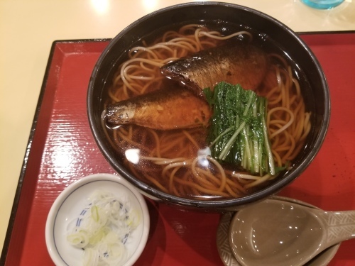 眼医者から綱島鶴見川へ_e0016828_10313382.jpg