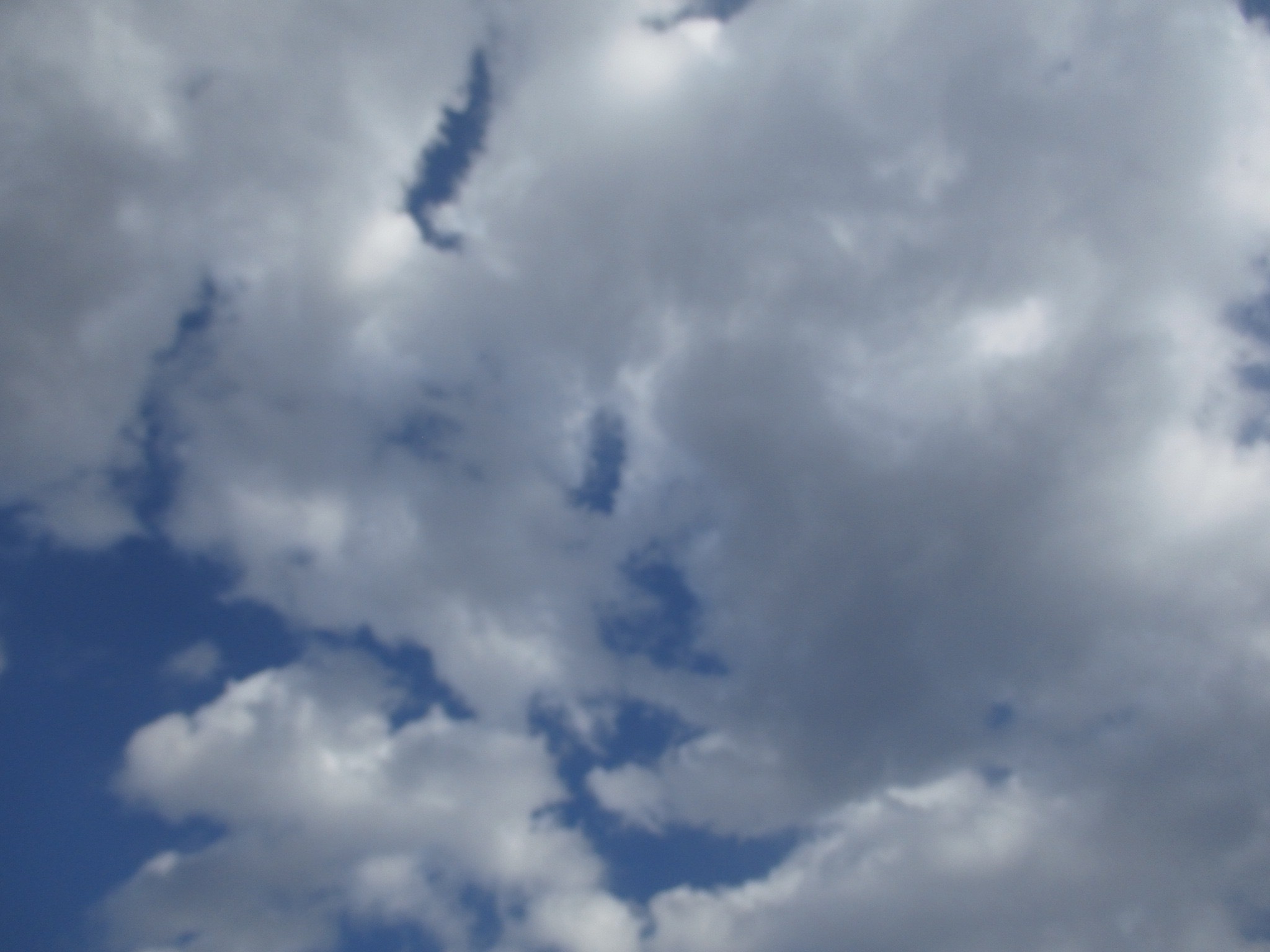 d0127634_10013768.jpg