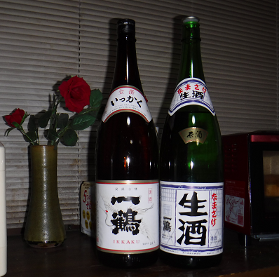 a0051539_20284477.png