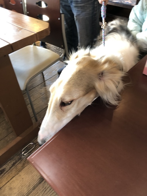 b0369239_15593594.jpeg