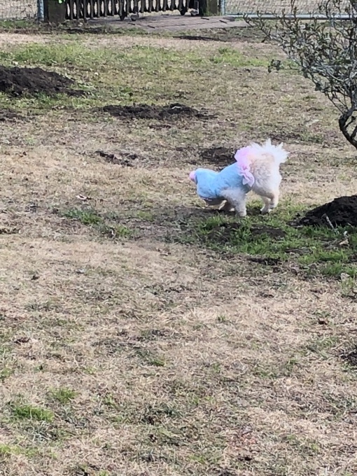 b0369239_16002483.jpeg