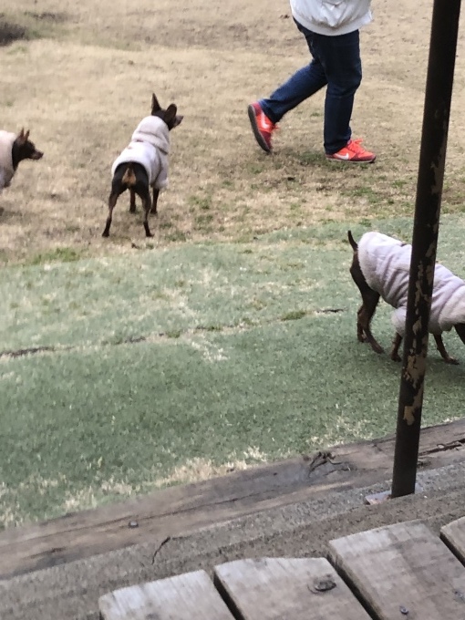 b0369239_16012495.jpeg