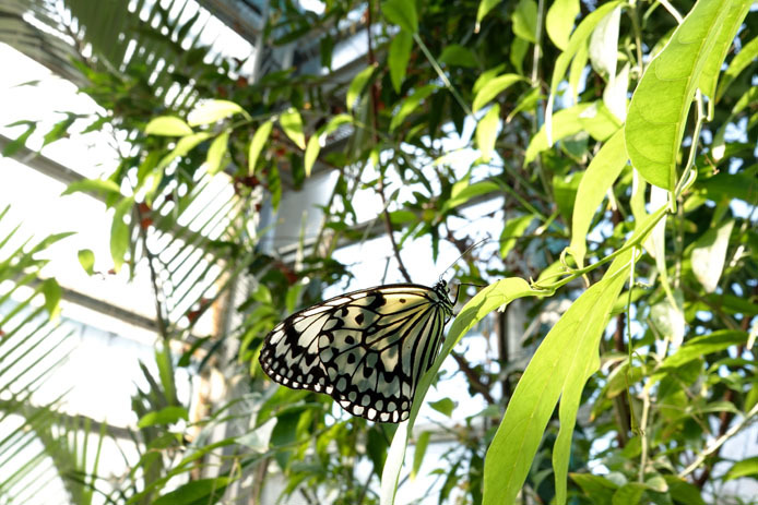 d0149245_23391737.jpg