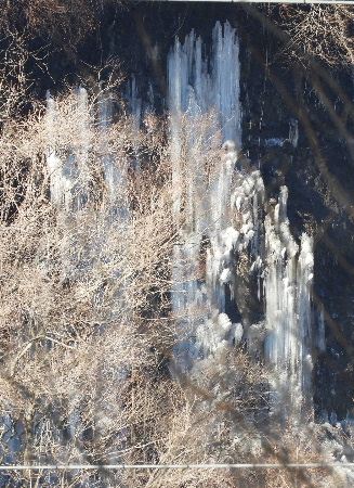 e0172950_20372971.jpg
