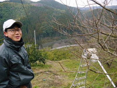 山あいの南高梅 冬の剪定2019 その1:弱い枝に元気な花を咲かせ南高梅の果実を実らせます!_a0254656_17175224.jpg