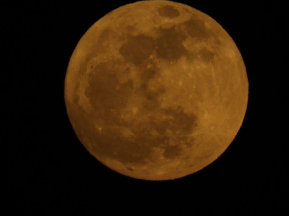 b0160957_20493403.jpg