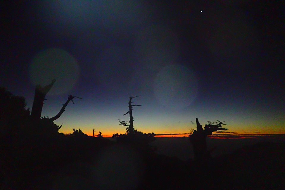 b0160957_20500298.jpg