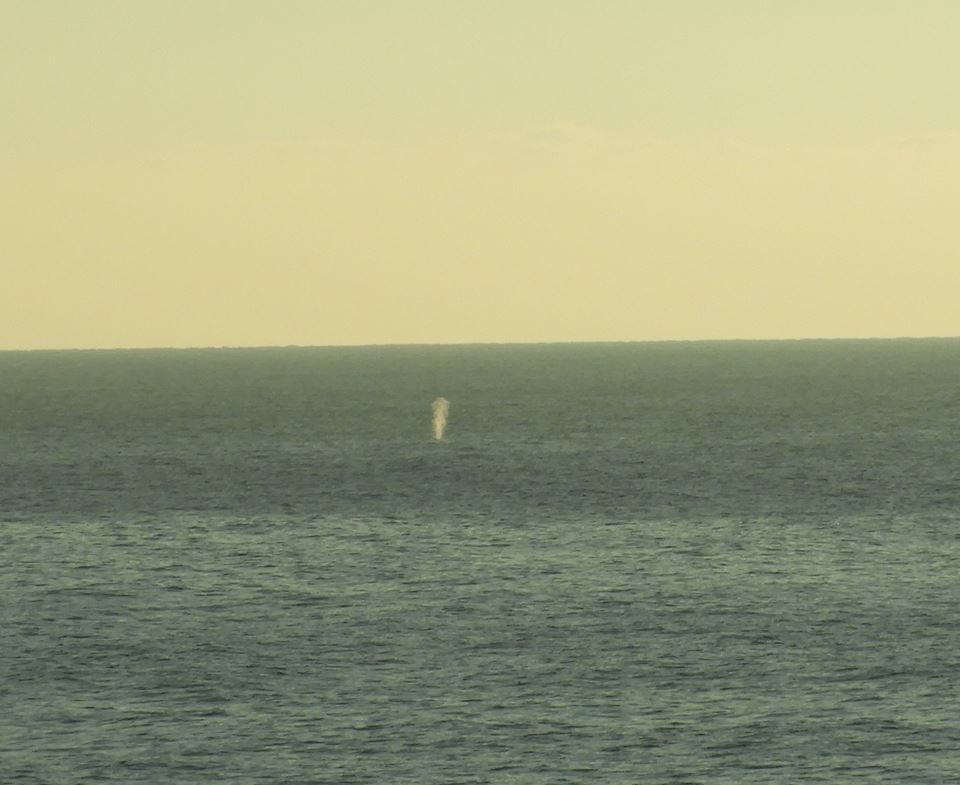 b0160957_20510857.jpg