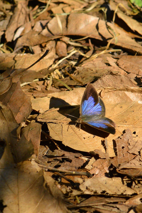 d0387460_21401537.jpg