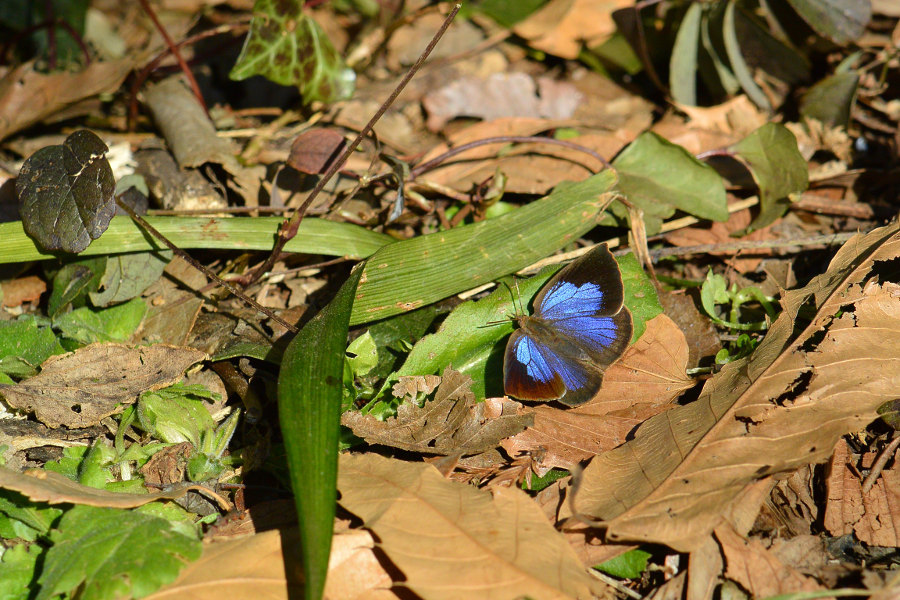 d0387460_21402287.jpg