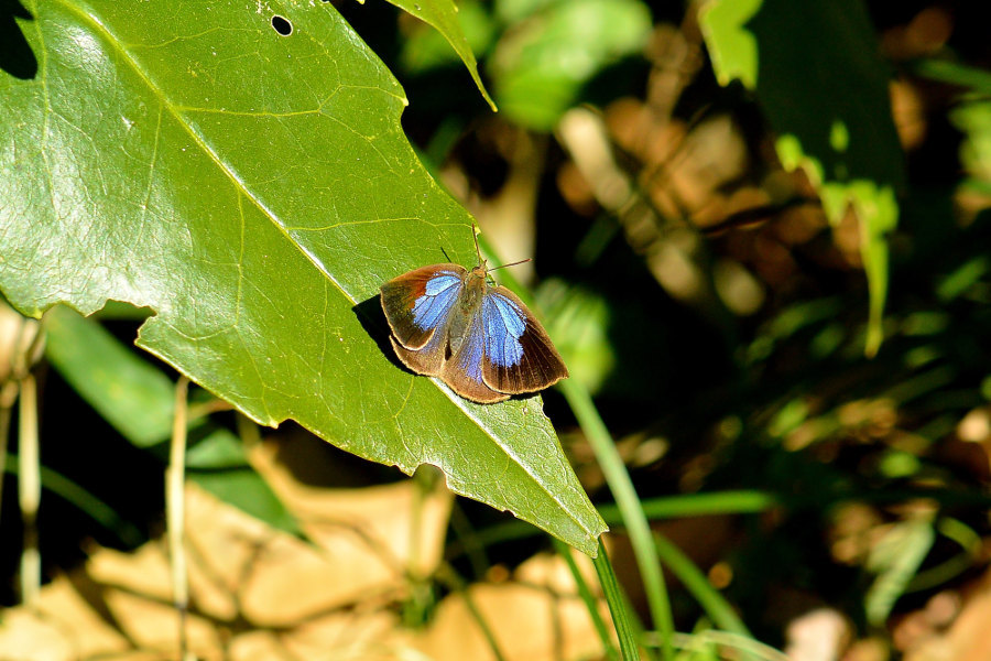 d0387460_21402977.jpg