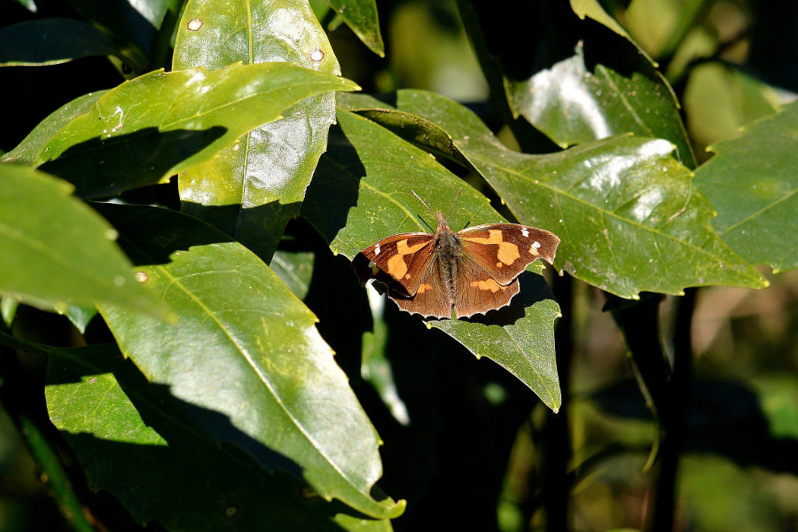 d0387460_21405345.jpg