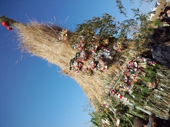 f0367170_22532950.jpg