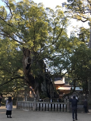 f0315081_22234310.jpeg