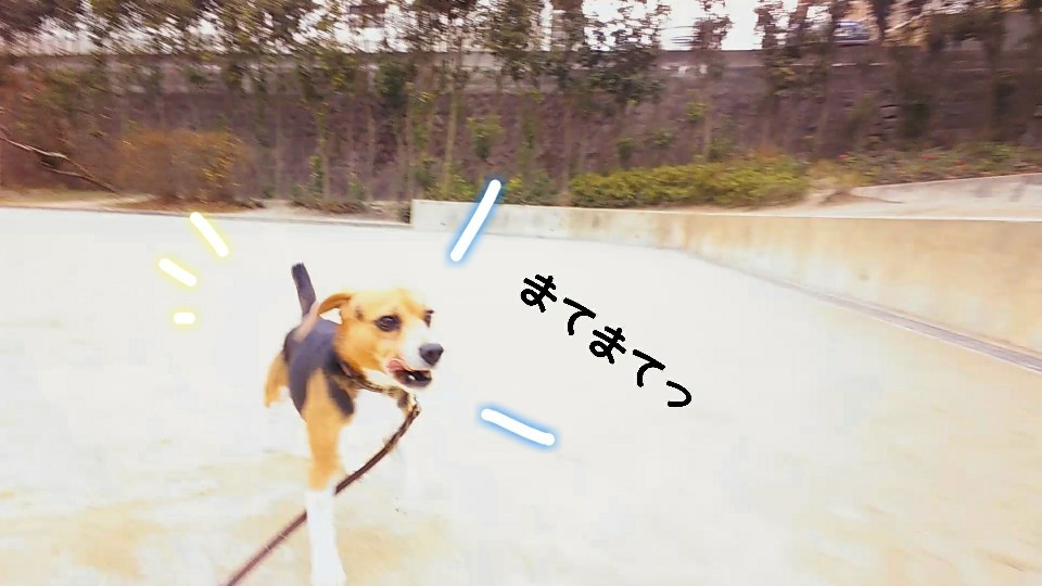 公園に♪(ハイッ)行きましょう♪(ハイハイッ)_f0357682_12162925.jpg