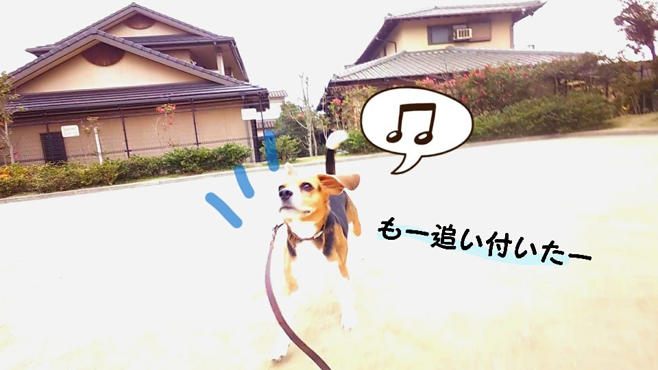公園に♪(ハイッ)行きましょう♪(ハイハイッ)_f0357682_13042004.jpg