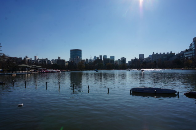 b0178388_19521291.jpg