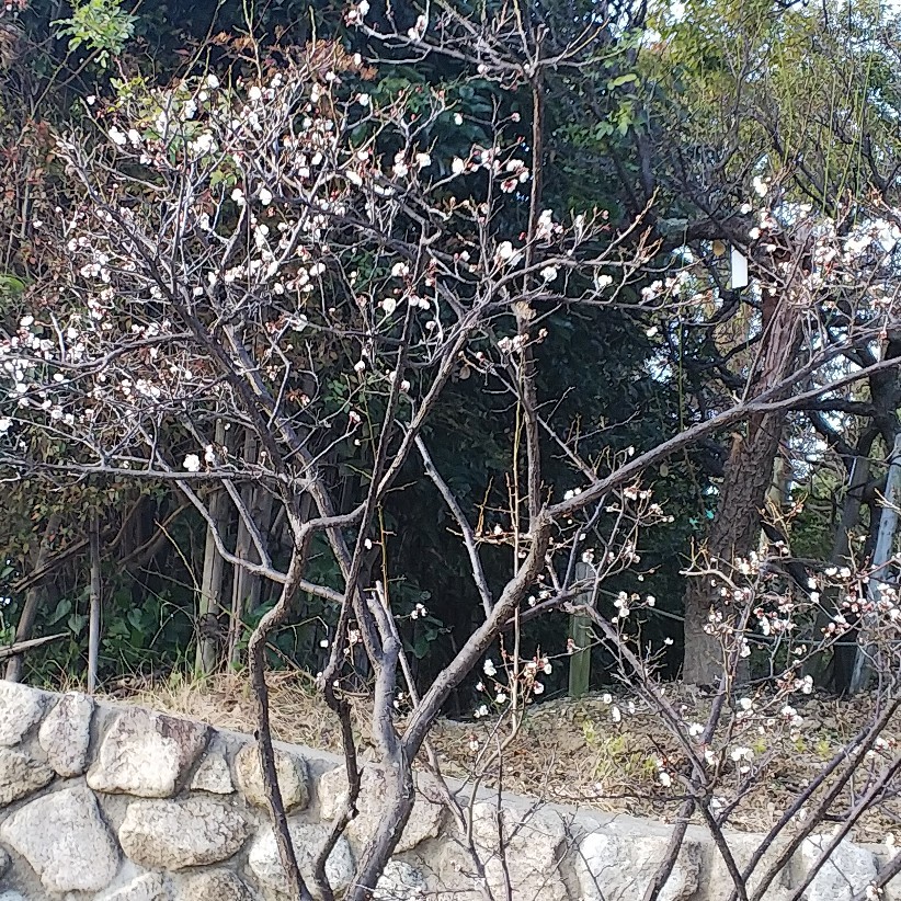 c0191390_17573020.jpg