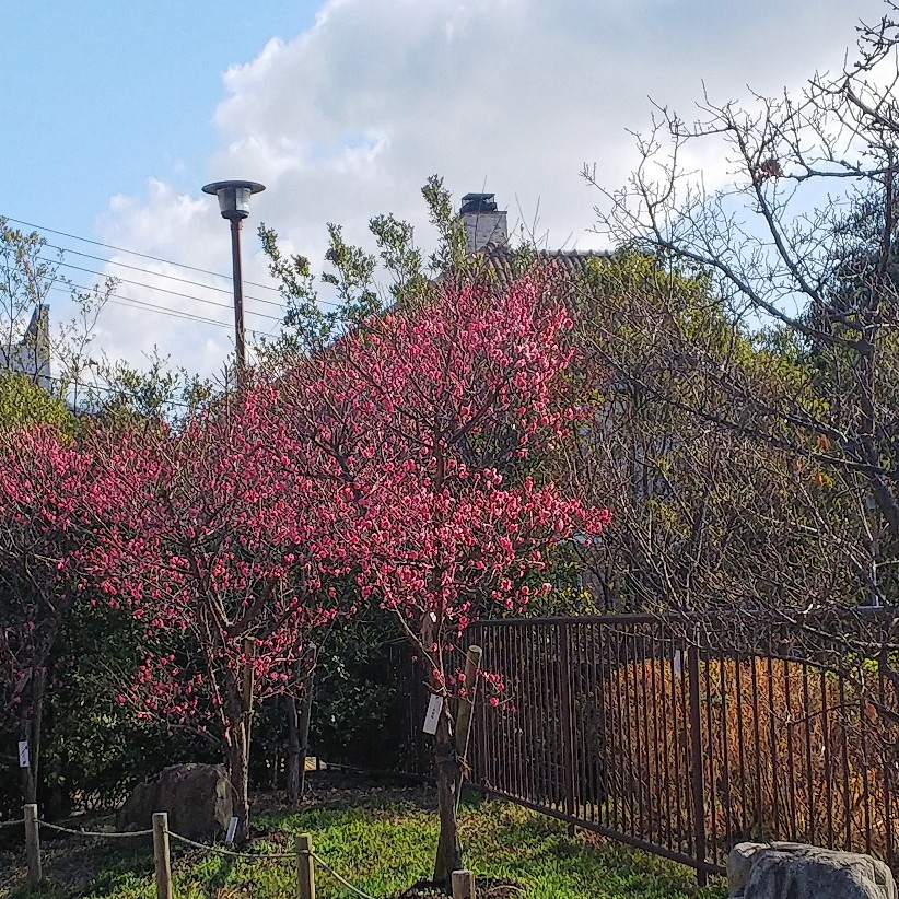c0191390_17573022.jpg