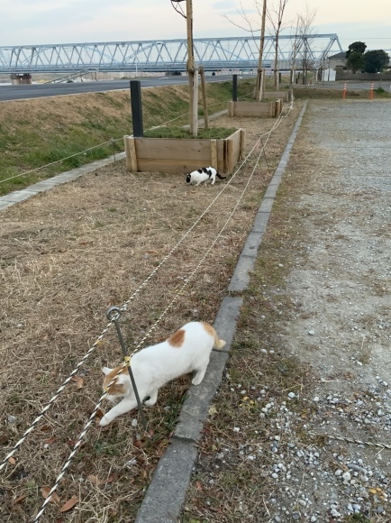 c0242791_14270111.jpeg