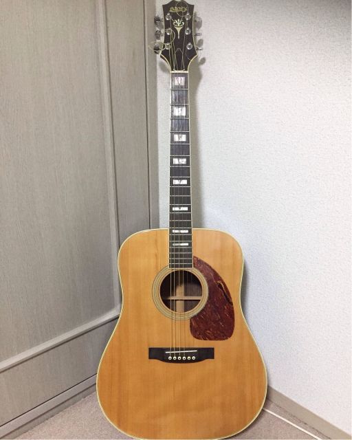 国産ビンテージギター 1970年 Greco W-400_a0334793_23221859.jpg