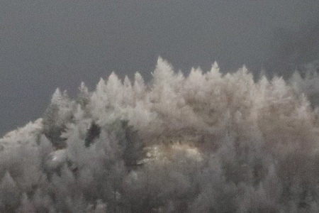 e0120896_08262844.jpg