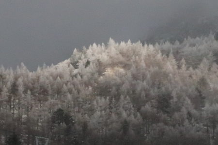 e0120896_08265138.jpg