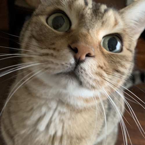 遊ぶ？？_e0358096_22320740.jpeg