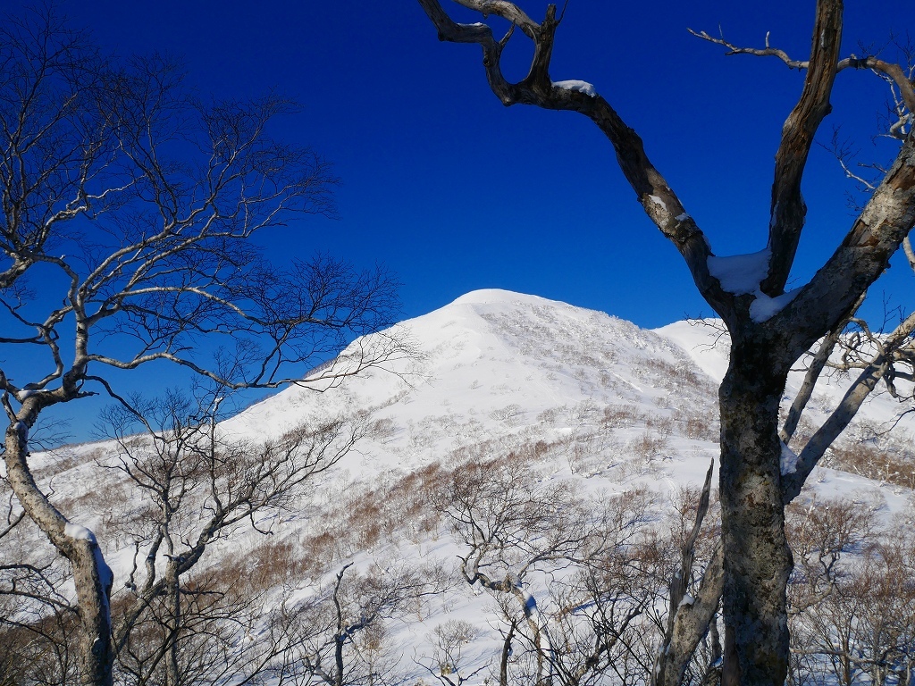 漁岳とオコタンペ山、2019.1.14_f0138096_14194030.jpg