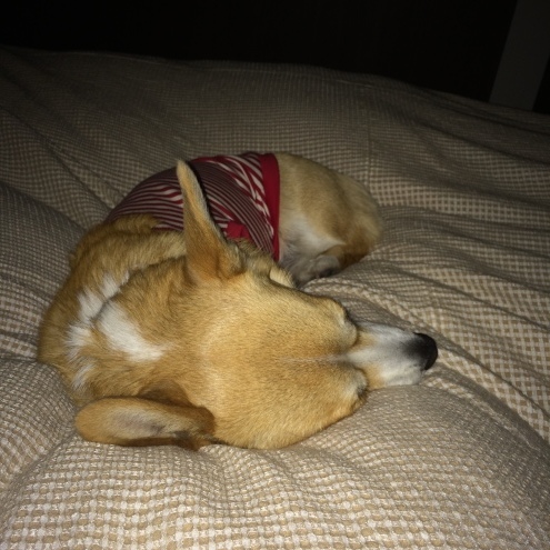 e0123299_02292378.jpeg
