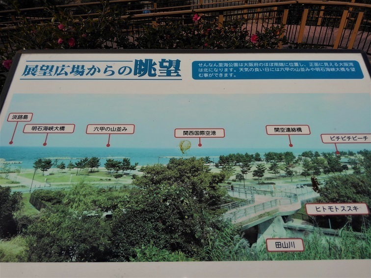 e0360409_17140911.jpg
