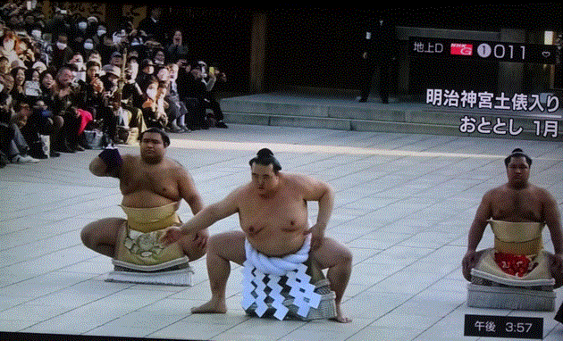 f0231709_21030316.gif